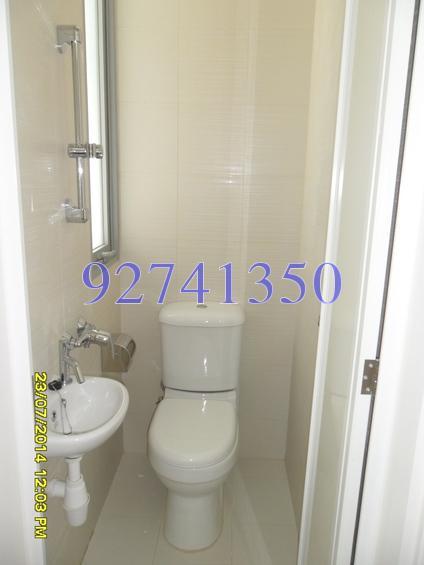 The Scala (D19), Apartment #170936382